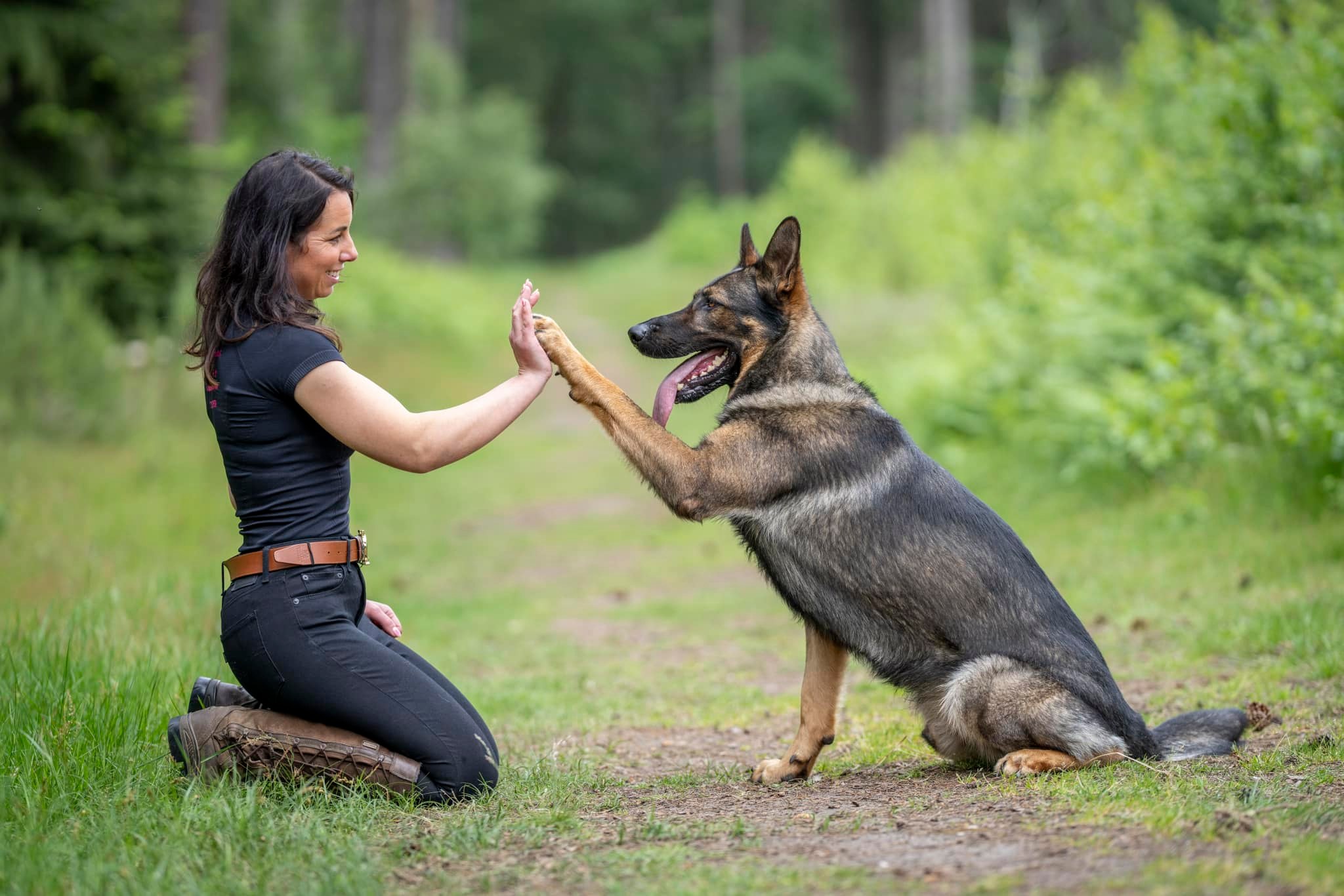 Train my canine about us